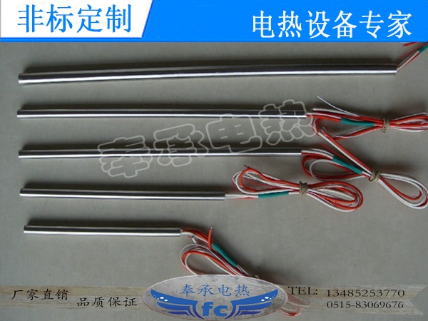 <b>可測(cè)溫單頭電熱管，帶偶</b>